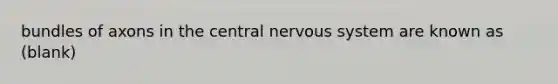 bundles of axons in the central nervous system are known as (blank)