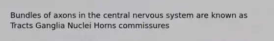 Bundles of axons in the central nervous system are known as Tracts Ganglia Nuclei Horns commissures