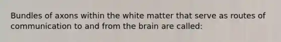 Bundles of axons within the white matter that serve as routes of communication to and from the brain are called: