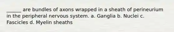 ______ are bundles of axons wrapped in a sheath of perineurium in the peripheral nervous system. a. Ganglia b. Nuclei c. Fascicles d. Myelin sheaths