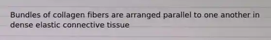 Bundles of collagen fibers are arranged parallel to one another in dense elastic connective tissue