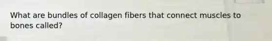 What are bundles of collagen fibers that connect muscles to bones called?