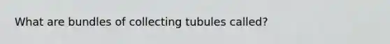 What are bundles of collecting tubules called?