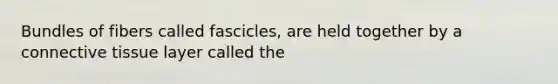 Bundles of fibers called fascicles, are held together by a connective tissue layer called the