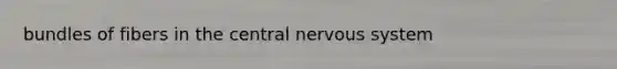 bundles of fibers in the <a href='https://www.questionai.com/knowledge/kMmgwYXzPv-central-nervous-system' class='anchor-knowledge'>central nervous system</a>