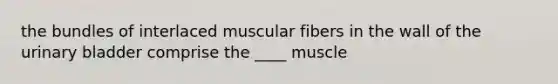 the bundles of interlaced muscular fibers in the wall of the urinary bladder comprise the ____ muscle