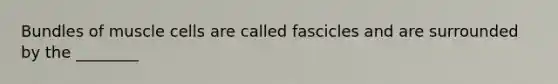 Bundles of muscle cells are called fascicles and are surrounded by the ________