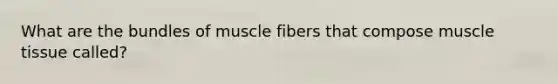 What are the bundles of muscle fibers that compose muscle tissue called?