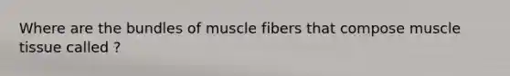 Where are the bundles of muscle fibers that compose muscle tissue called ?