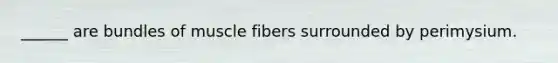 ______ are bundles of muscle fibers surrounded by perimysium.