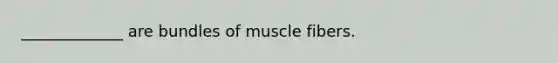 _____________ are bundles of muscle fibers.