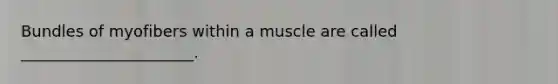 Bundles of myofibers within a muscle are called ______________________.