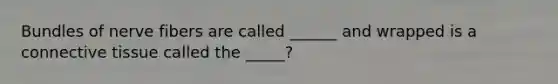 Bundles of nerve fibers are called ______ and wrapped is a connective tissue called the _____?