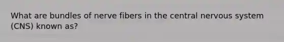 What are bundles of nerve fibers in the central nervous system (CNS) known as?