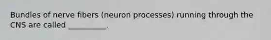 Bundles of nerve fibers (neuron processes) running through the CNS are called __________.