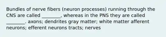 Bundles of nerve fibers (neuron processes) running through the CNS are called ________, whereas in the PNS they are called ________. axons; dendrites gray matter; white matter afferent neurons; efferent neurons tracts; nerves