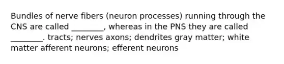 Bundles of nerve fibers (neuron processes) running through the CNS are called ________, whereas in the PNS they are called ________. tracts; nerves axons; dendrites gray matter; white matter afferent neurons; efferent neurons