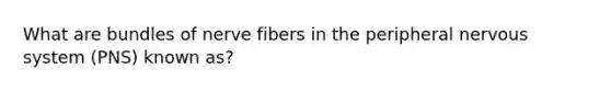 What are bundles of nerve fibers in the peripheral nervous system (PNS) known as?