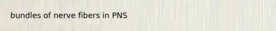 bundles of nerve fibers in PNS
