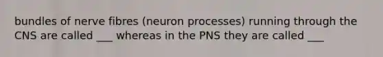 bundles of nerve fibres (neuron processes) running through the CNS are called ___ whereas in the PNS they are called ___