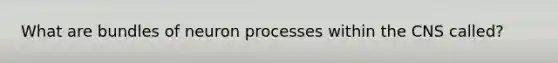 What are bundles of neuron processes within the CNS called?