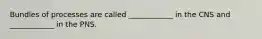 Bundles of processes are called ____________ in the CNS and ____________ in the PNS.