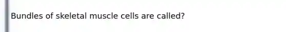 Bundles of skeletal muscle cells are called?