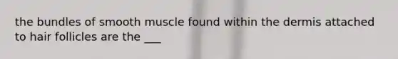 the bundles of smooth muscle found within <a href='https://www.questionai.com/knowledge/kEsXbG6AwS-the-dermis' class='anchor-knowledge'>the dermis</a> attached to hair follicles are the ___