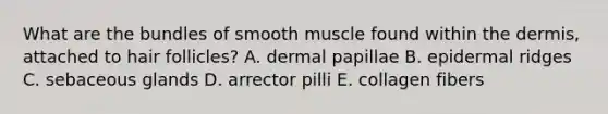 What are the bundles of smooth muscle found within <a href='https://www.questionai.com/knowledge/kEsXbG6AwS-the-dermis' class='anchor-knowledge'>the dermis</a>, attached to hair follicles? A. dermal papillae B. epidermal ridges C. sebaceous glands D. arrector pilli E. collagen fibers