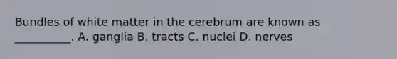 Bundles of white matter in the cerebrum are known as __________. A. ganglia B. tracts C. nuclei D. nerves