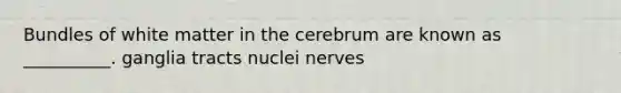 Bundles of white matter in the cerebrum are known as __________. ganglia tracts nuclei nerves