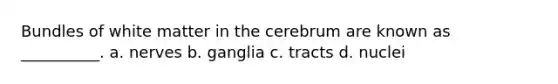 Bundles of white matter in the cerebrum are known as __________. a. nerves b. ganglia c. tracts d. nuclei