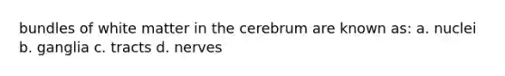 bundles of white matter in the cerebrum are known as: a. nuclei b. ganglia c. tracts d. nerves