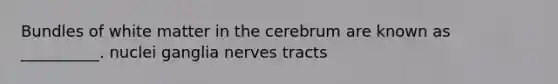 Bundles of white matter in the cerebrum are known as __________. nuclei ganglia nerves tracts