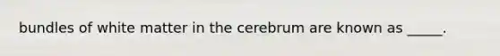 bundles of white matter in the cerebrum are known as _____.