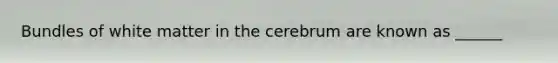 Bundles of white matter in the cerebrum are known as ______