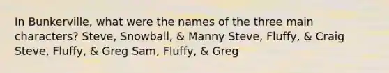 In Bunkerville, what were the names of the three main characters? Steve, Snowball, & Manny Steve, Fluffy, & Craig Steve, Fluffy, & Greg Sam, Fluffy, & Greg