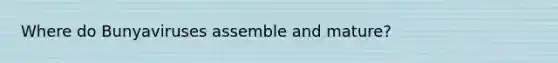 Where do Bunyaviruses assemble and mature?