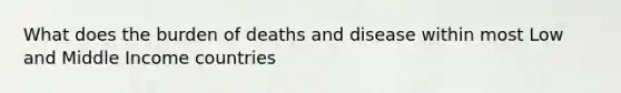 What does the burden of deaths and disease within most Low and Middle Income countries