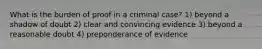 What is the burden of proof in a criminal case? 1) beyond a shadow of doubt 2) clear and convincing evidence 3) beyond a reasonable doubt 4) preponderance of evidence