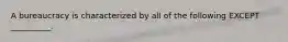 A bureaucracy is characterized by all of the following EXCEPT​ __________.