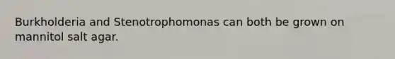 Burkholderia and Stenotrophomonas can both be grown on mannitol salt agar.