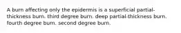 A burn affecting only the epidermis is a superficial partial-thickness burn. third degree burn. deep partial-thickness burn. fourth degree burn. second degree burn.