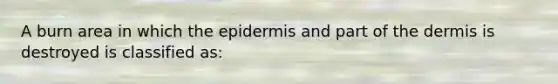 A burn area in which the epidermis and part of the dermis is destroyed is classified as: