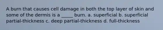 A burn that causes cell damage in both the top layer of skin and some of the dermis is a _____ burn. a. superficial b. superficial partial-thickness c. deep partial-thickness d. full-thickness