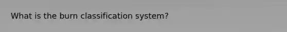What is the burn classification system?