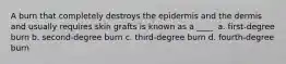 A burn that completely destroys the epidermis and the dermis and usually requires skin grafts is known as a ____. a. first-degree burn b. second-degree burn c. third-degree burn d. fourth-degree burn