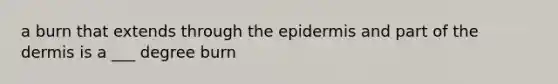 a burn that extends through the epidermis and part of the dermis is a ___ degree burn