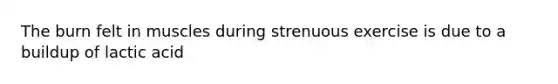 The burn felt in muscles during strenuous exercise is due to a buildup of lactic acid