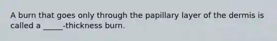 A burn that goes only through the papillary layer of the dermis is called a _____-thickness burn.